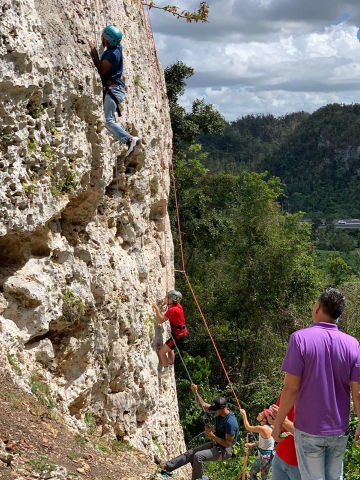 Arnés de escalada Top Rental